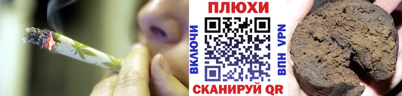 ГАШ Изолятор  mega как войти  это официальный сайт  Новоалександровск 