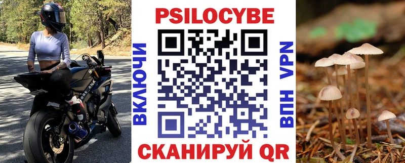 Псилоцибиновые грибы MAGIC MUSHROOMS  МЕГА онион  Новоалександровск 